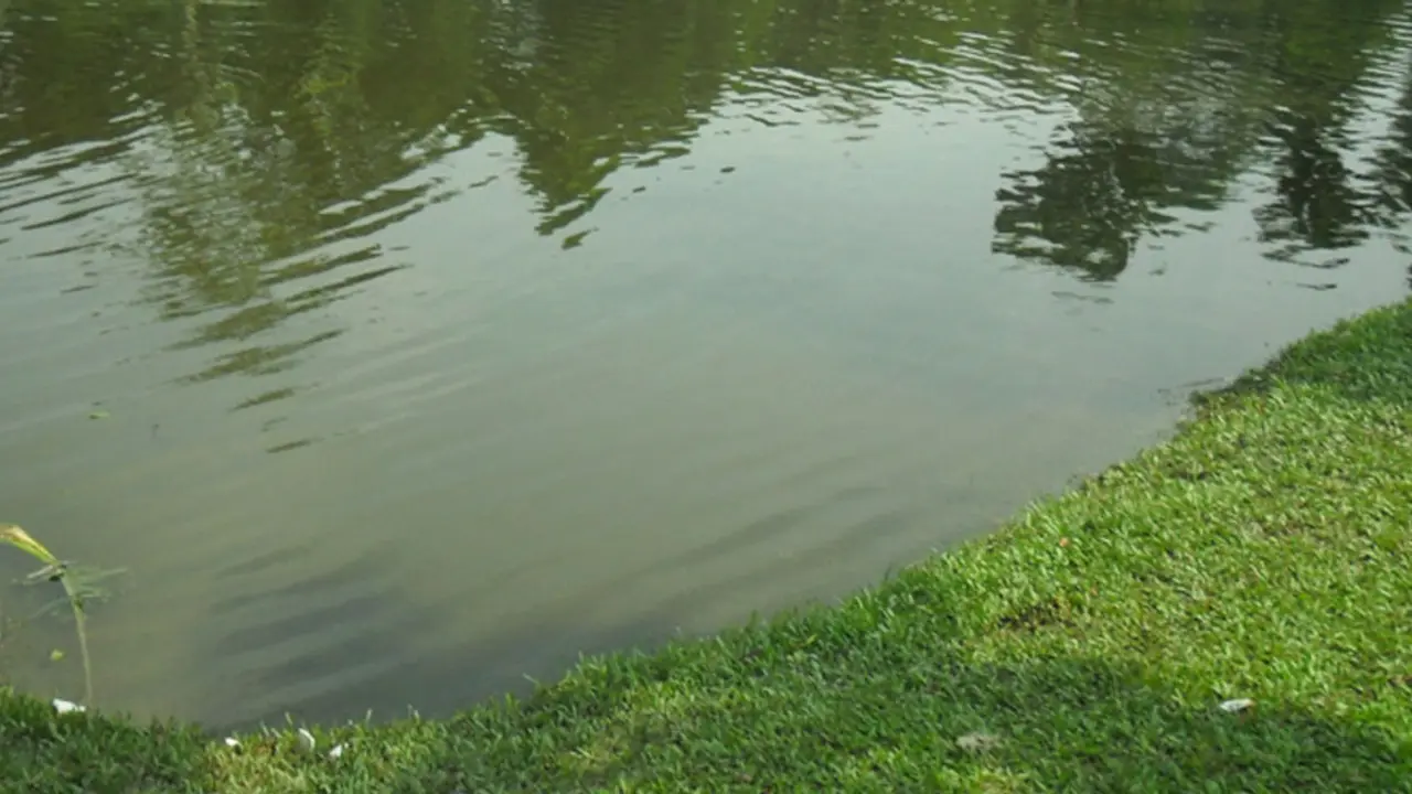 নোয়াখালীতে পুকুরে ডুবে প্রাণ গেল ভাই-বোনের