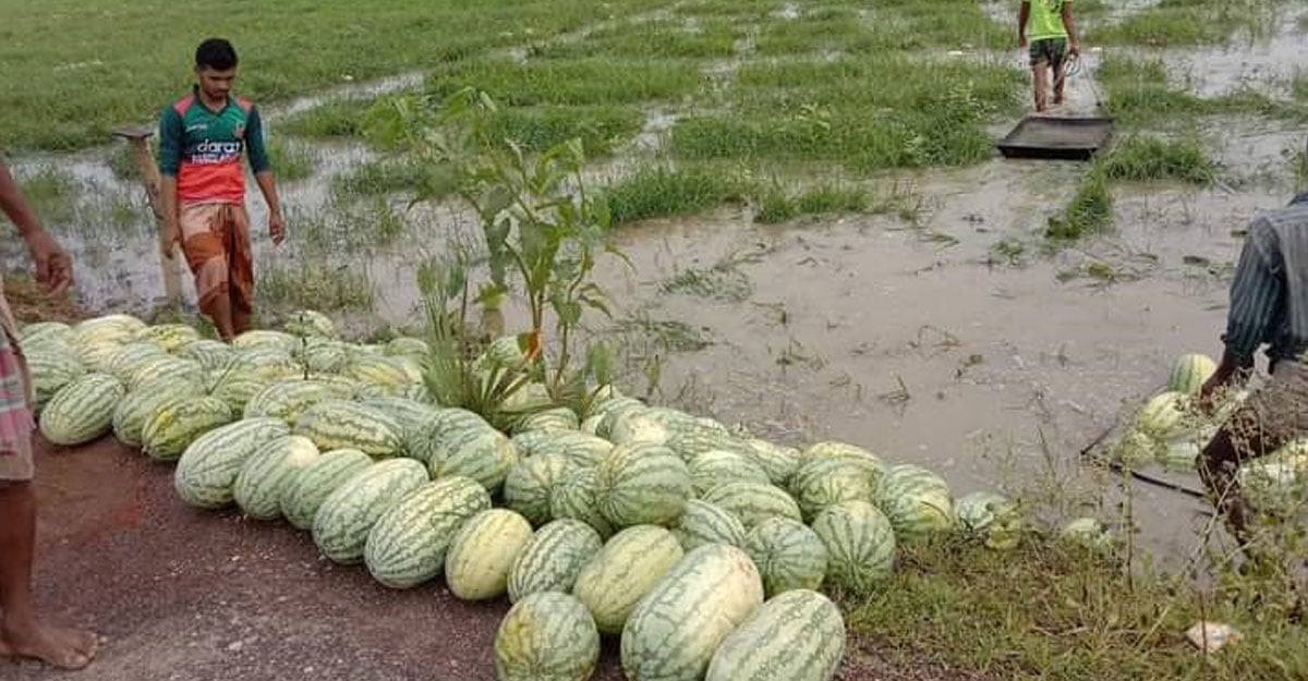 Dhaka post