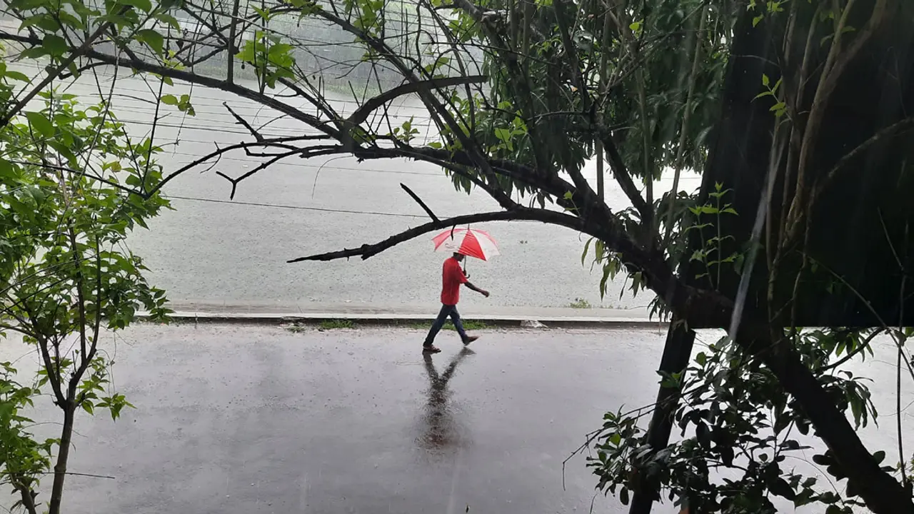অশনির প্রভাবে বাগেরহাটজুড়ে বৃষ্টি, বিপাকে ধানচাষিরা