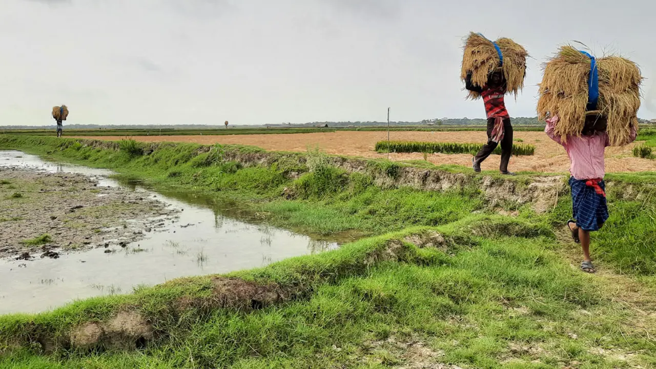 বাগেরহাটে সরকারি খাল দখলে কৃষকদের দুর্ভোগ