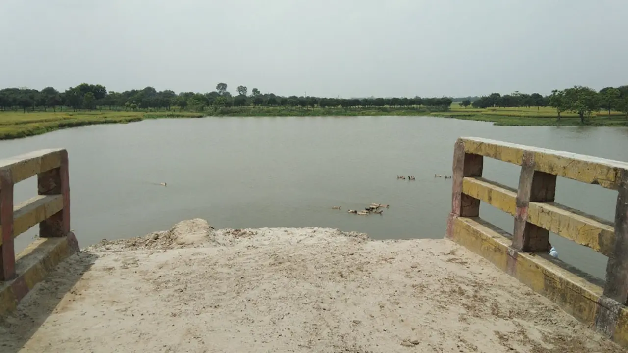 সেতু নয়, কৃষকদের মাঠে যেতে হয় খাল পাড়ি দিয়ে