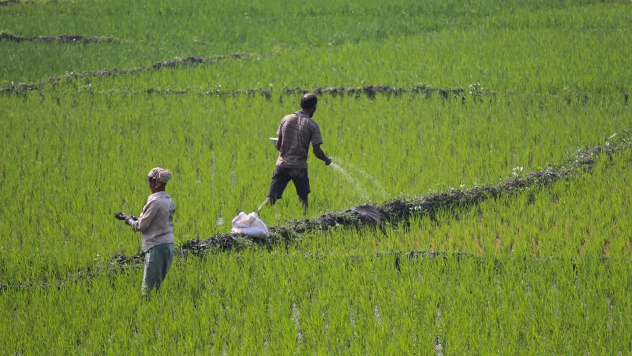 সারে ভর্তুকি আরও বাড়ছে