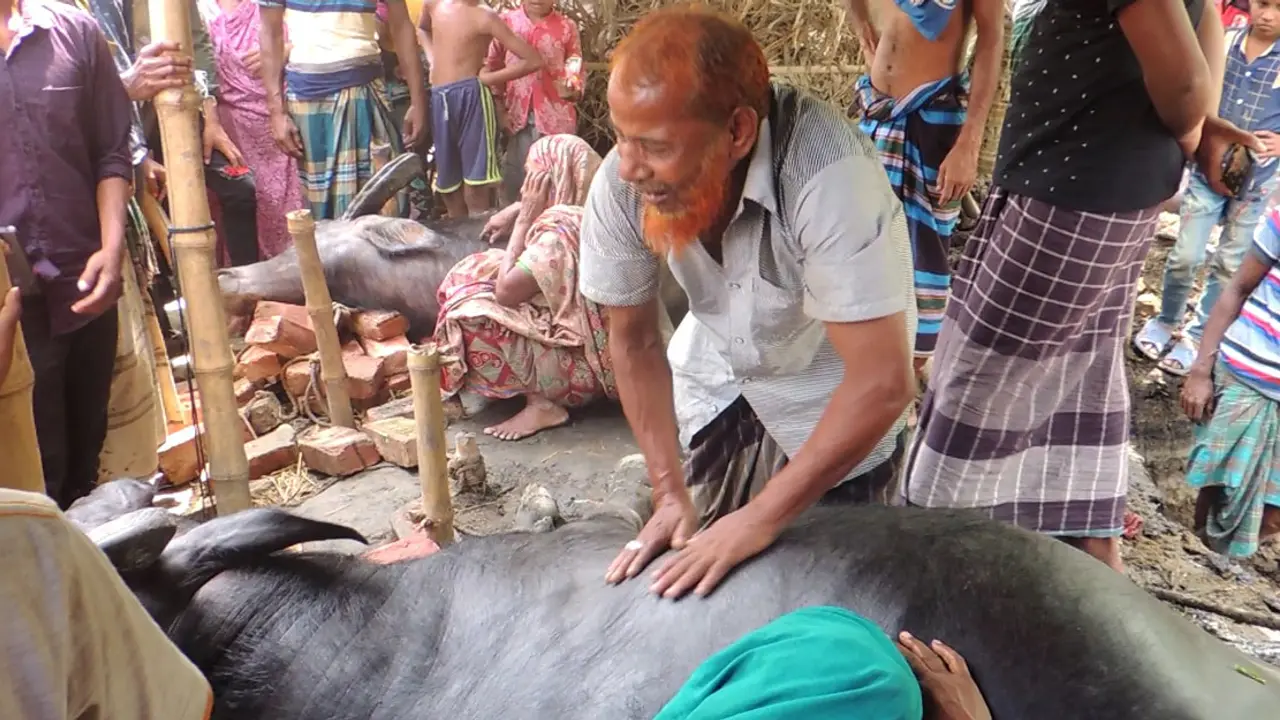 ১০ মিনিটের ঝড়ে লন্ডভন্ড ঝিনাইদহের গ্রামের পর গ্রাম