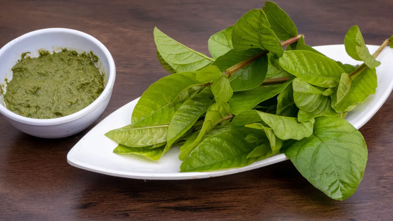 রূপচর্চায় পেয়ারা পাতার ব্যবহার