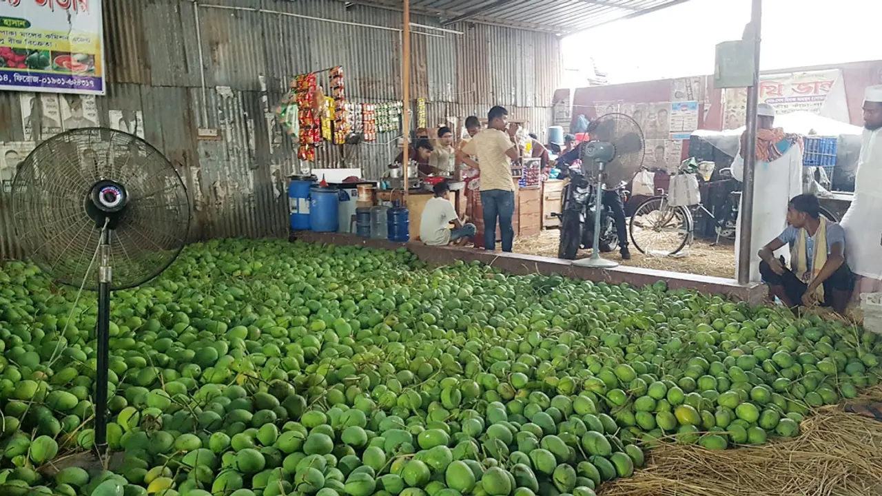 আমে ভরপুর সাতক্ষীরার বাজার, কমেছে দাম