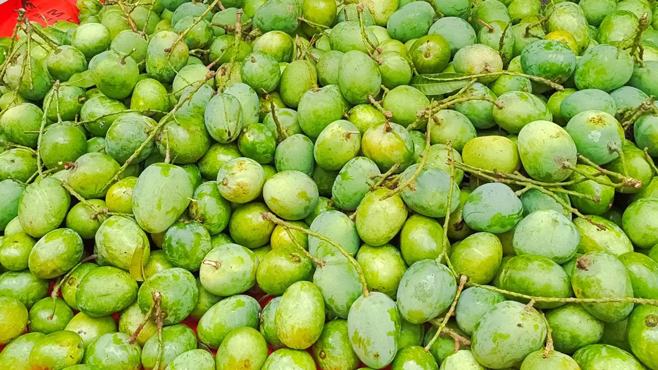 প্রতিদিন সাতক্ষীরা থেকে ২১ টন আম যাচ্ছে সারা দেশে