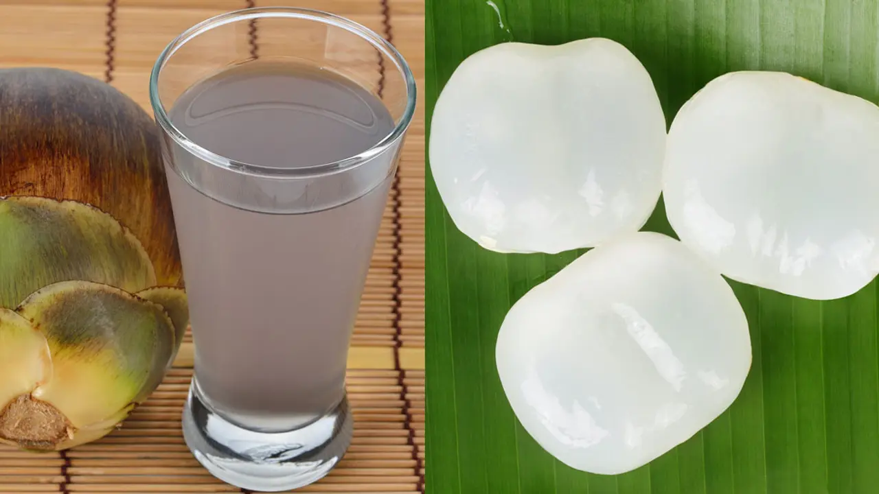 তালের শাঁসের শরবত তৈরির রেসিপি