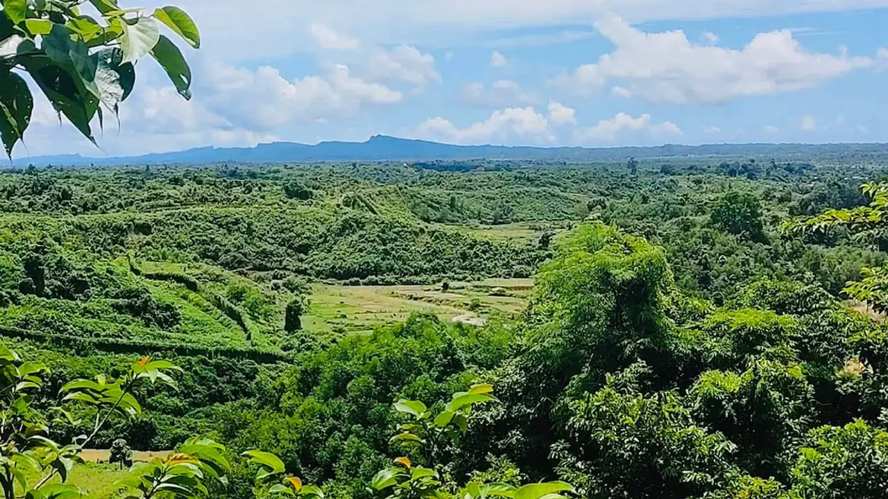 তুমব্রু সীমান্তে সংঘর্ষ, ডিজিএফআই কর্মকর্তা নিহত