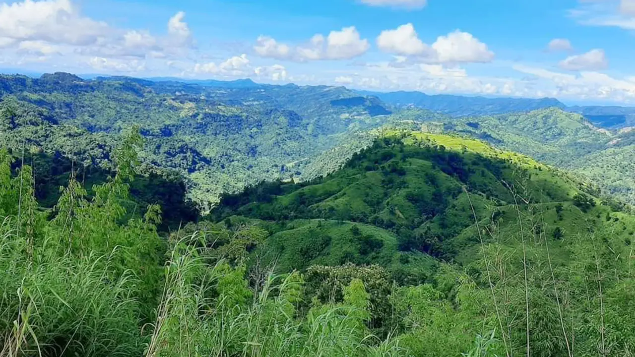 থানচি ভ্রমণে নিষেধাজ্ঞা প্রত্যাহার
