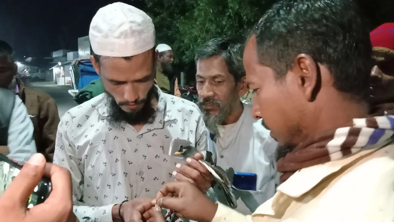 তারে আটকে ছিল শালিক, উদ্ধার করল বিদ্যুৎ বিভাগ