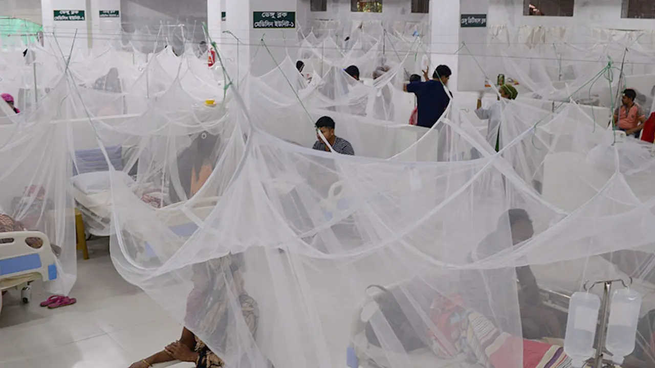 ডেঙ্গুতে আরও ৭ জনের মৃত্যু, হাসপাতালে ৮৭৫