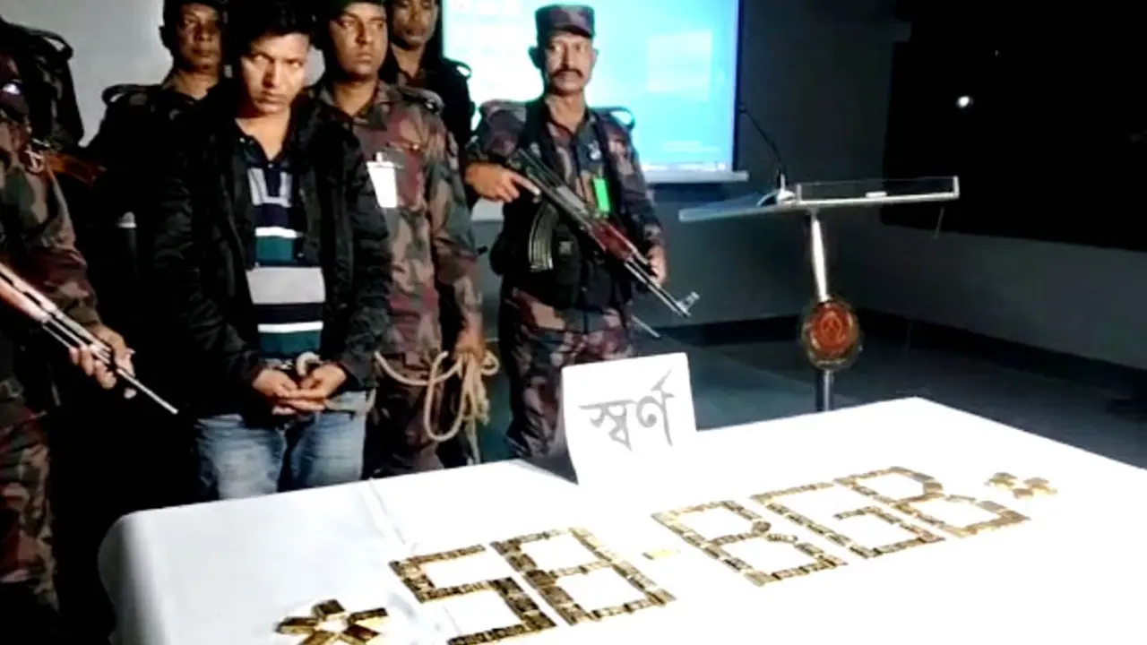 মাটিতে পুঁতে রাখা হয়ে ছিল ৮৬টি স্বর্ণের বার