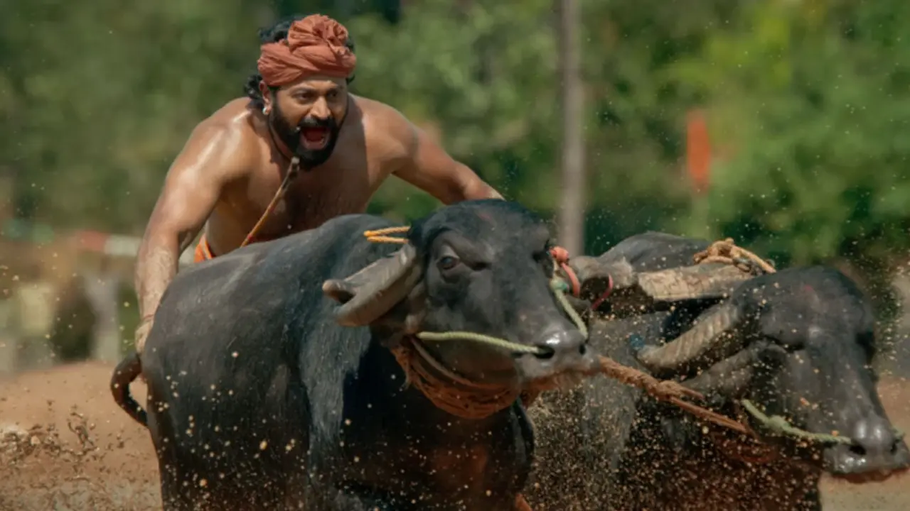 ৪০০ কোটির ক্লাবে ১৬ কোটি টাকার সিনেমা!