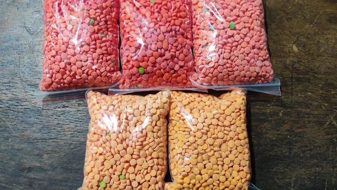 পল্টনে ১০ হাজার পিস ইয়াবাসহ গ্রেপ্তার ১