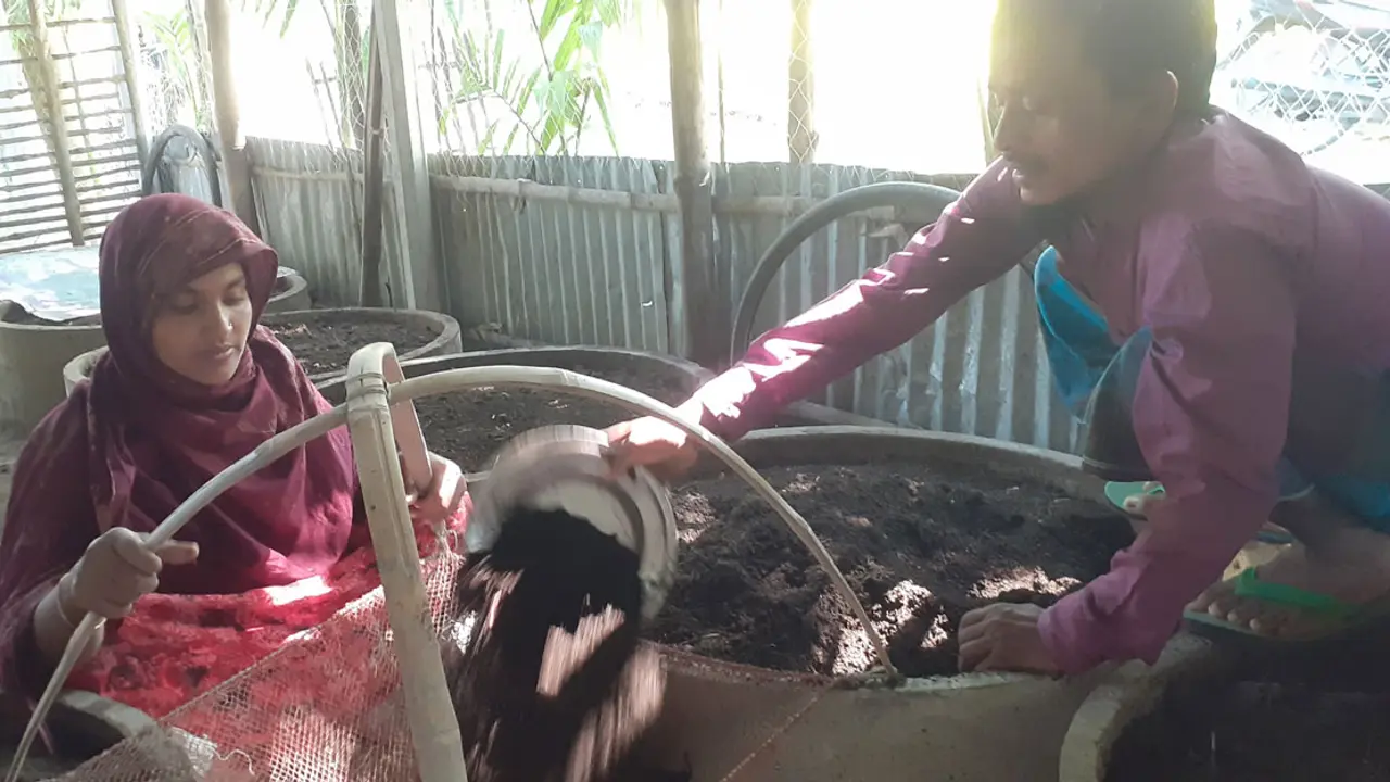 কেঁচো সারে মাসে আয় ২০ হাজার টাকা