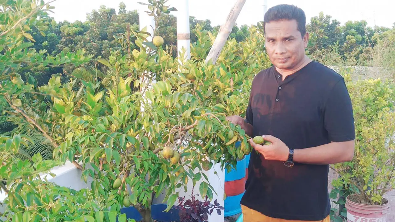 শখের বশে শুরু, মনেকের ছাদবাগানে এখন ২০০ প্রজাতির গাছ