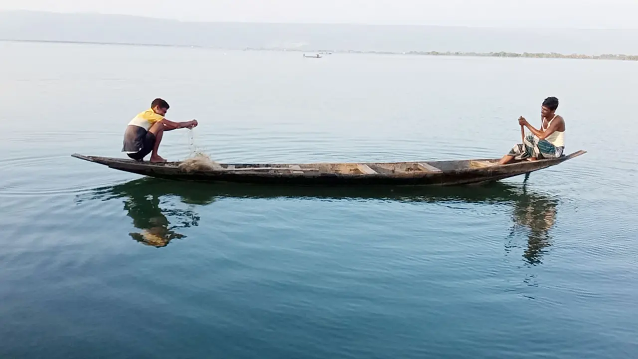 নৌকা-ইঞ্জিনের শব্দ, টাঙ্গুয়ার হাওরে পাওয়া যাচ্ছে না মাছ