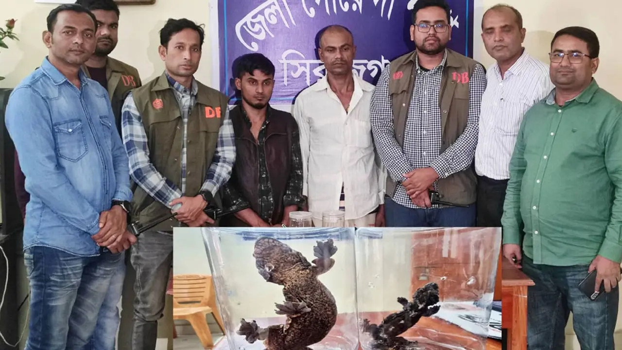 সিরাজগঞ্জে বিরল প্রজাতির তক্ষকসহ গ্রেপ্তার ২