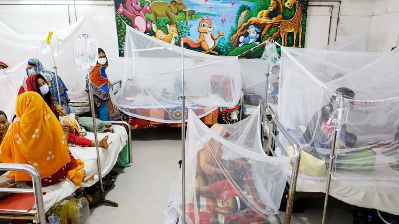 ডেঙ্গু : আবারও হাজার ছাড়াল হাসপাতালে ভর্তি