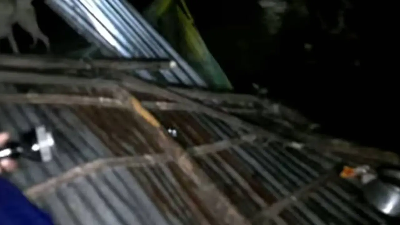 ঝড়ে ঘরের ওপর গাছ পড়ে প্রাণ গেল ১১৫ বছর বয়সী নারীর