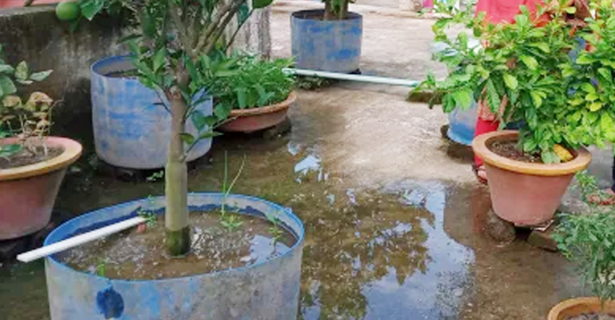 dhaka post