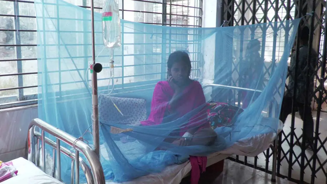 বাগেরহাটে বাড়ছে ডেঙ্গু রোগী, হাসপাতালে ভর্তি ১৯