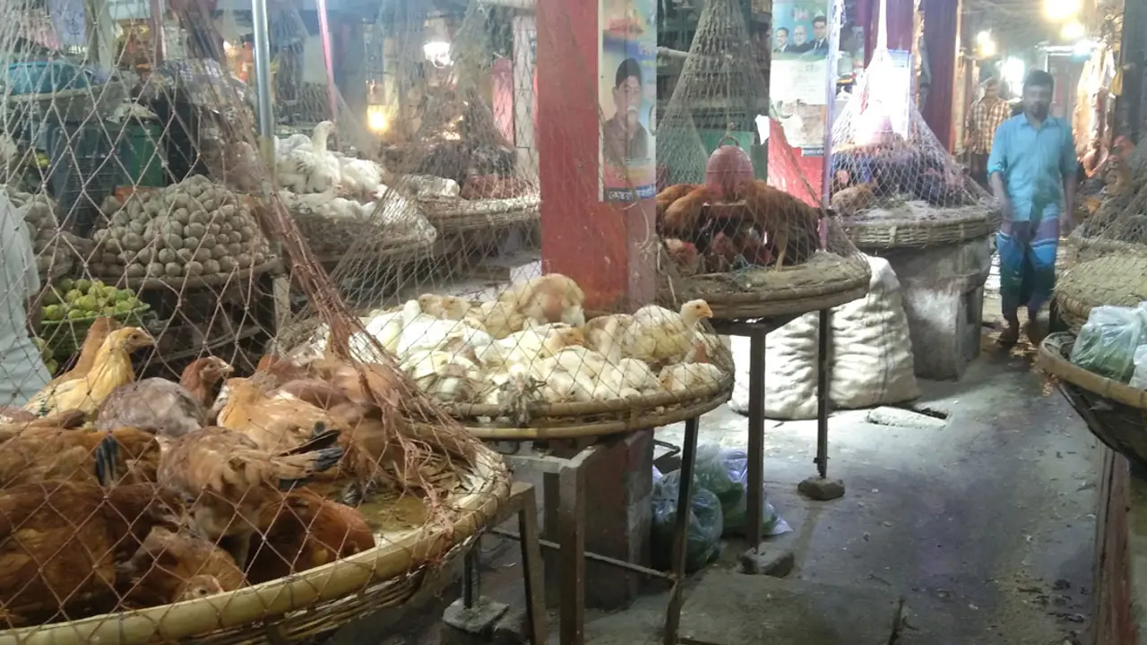 নাগালের বাইরেই মুরগি ও গরুর মাংস