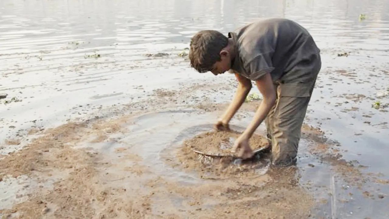 সিসার বিষক্রিয়ায় আক্রান্ত দেশের সাড়ে তিন কোটি শিশু