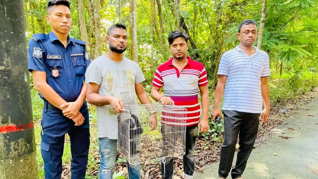চট্টগ্রামে মহাবিপন্ন উল্লুক উদ্ধার, আটক ২