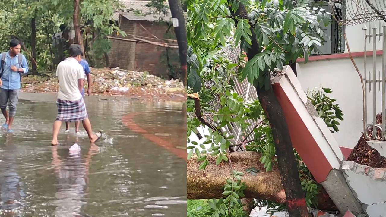 ঘূর্ণিঝড়ের প্রভাবে ঢাকা কলেজে ব্যাপক ক্ষয়ক্ষতি