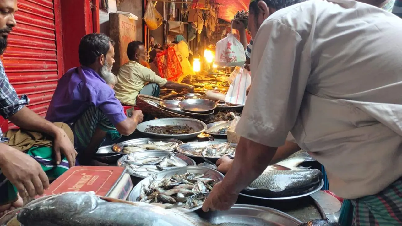ইলিশ না থাকার প্রভাব অন্য মাছে