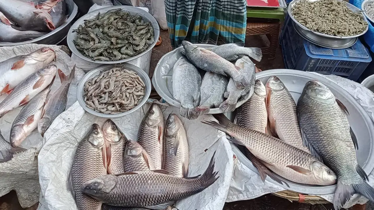 ইলিশ না থাকায় মাছের বাজারে উত্তাপ
