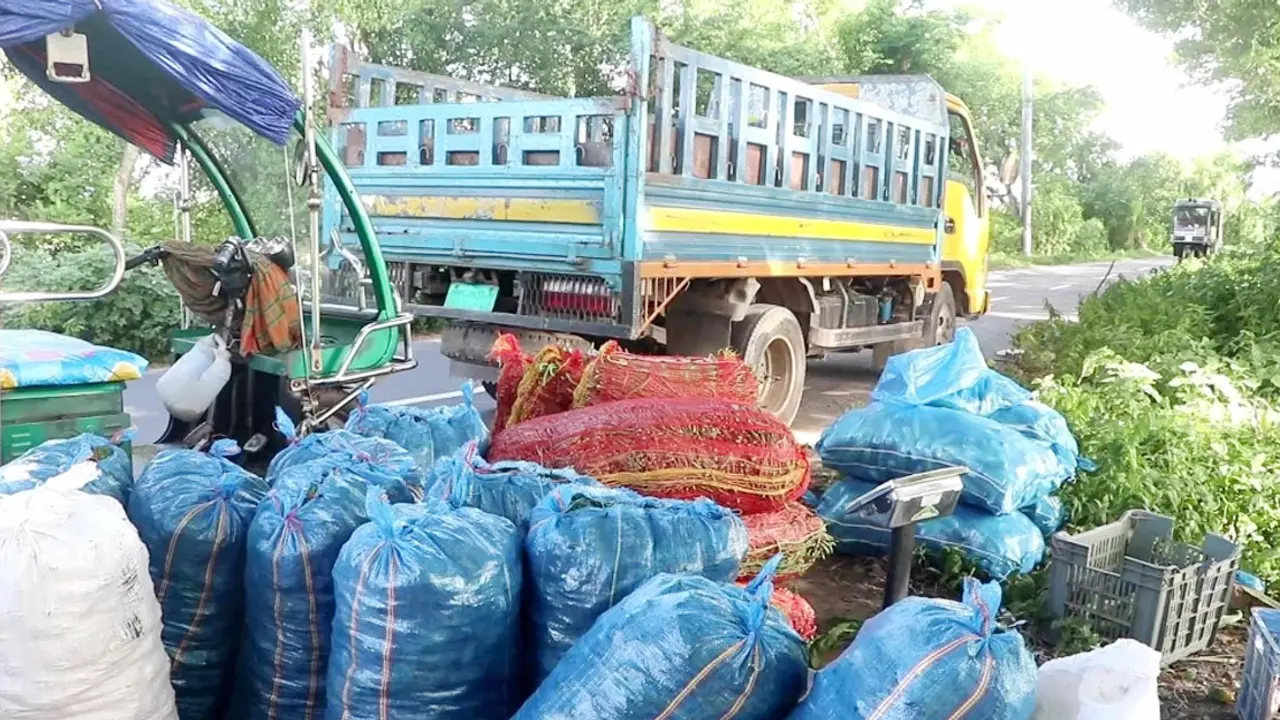 পদ্মা সেতুর সুফল পাচ্ছেন গোপালগঞ্জের সবজি চাষিরা