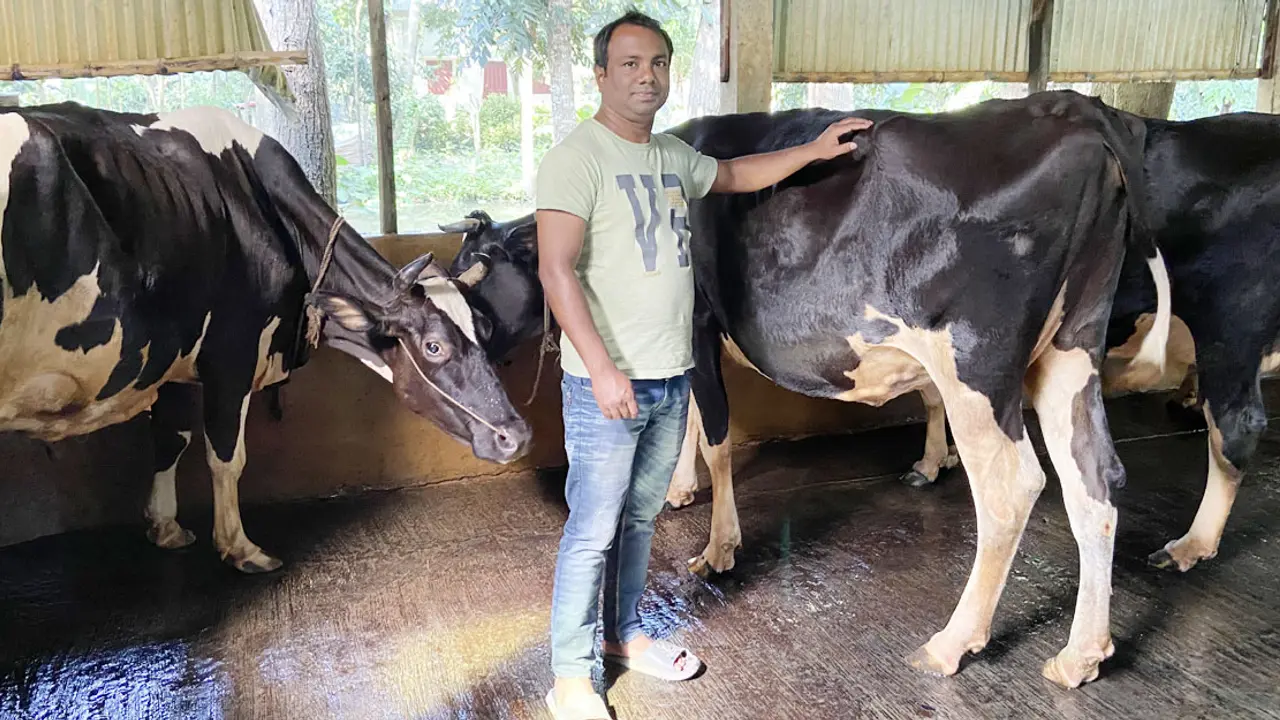 ব্যাংকের চাকরি ছেড়ে গিয়াস এখন সফল খামারি
