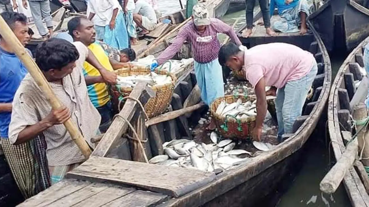 ইলিশ ধরা শুরু