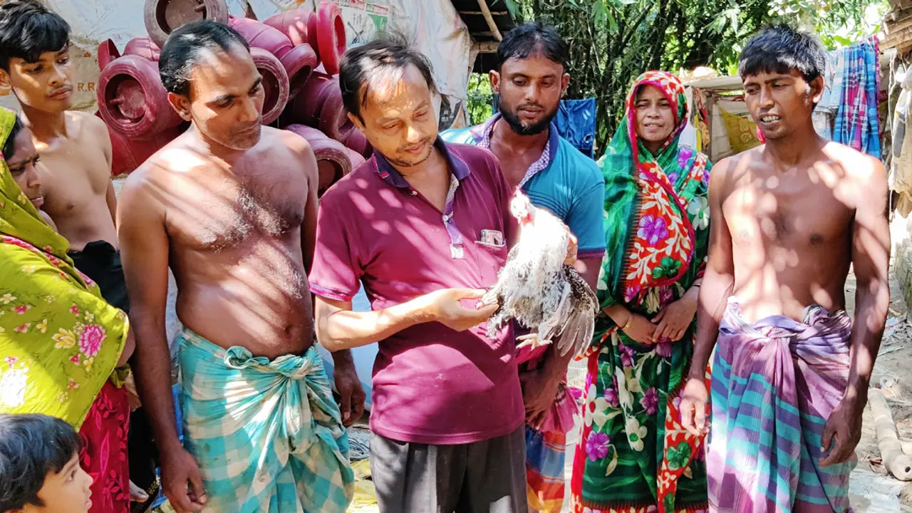 চার পায়ের মোরগ দেখতে মানুষের ভিড়