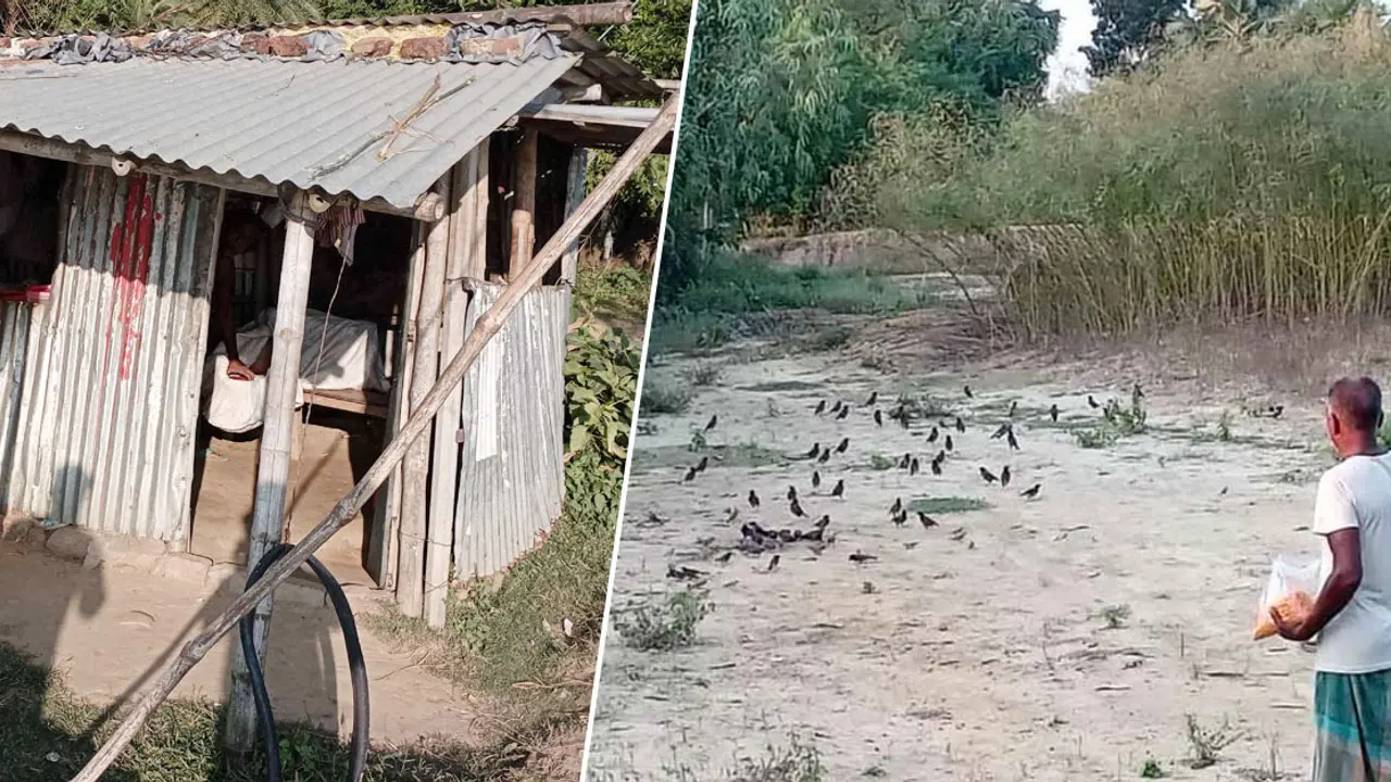 থাকেন ঝুপড়ি ঘরে, নিজে না খেয়ে খাওয়ান পাখিদের