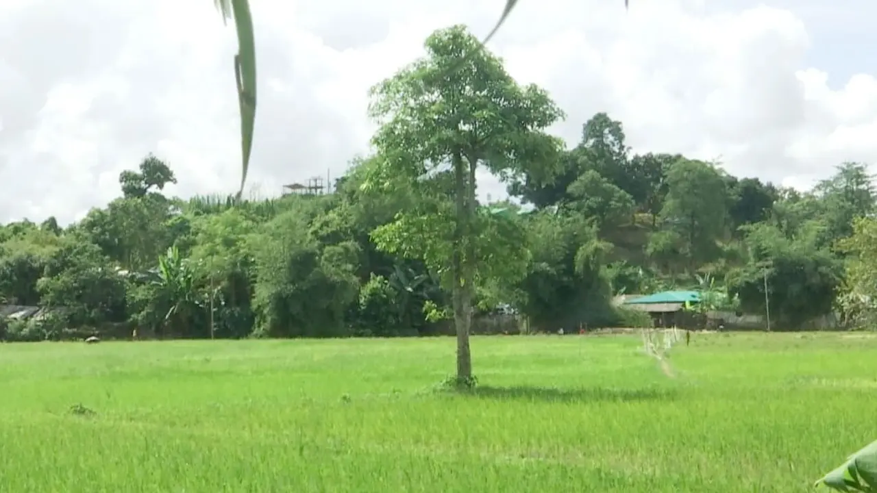 তুমব্রু সীমান্তে থেমে থেমে গুলির শব্দ
