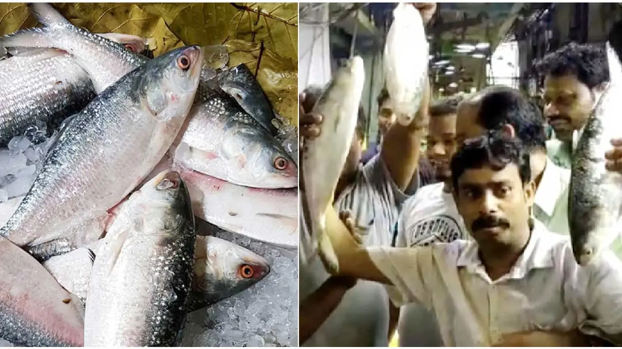 বাংলাদেশের উপহারের ইলিশ পেয়ে খুশিতে ভাসছেন ভারতীয়রা