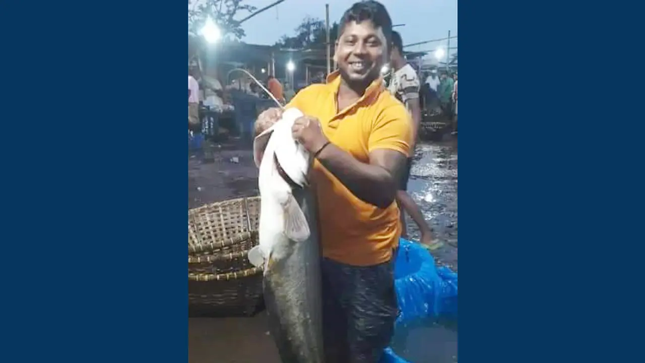 বড়শিতে ধরা পড়ল ২০ কেজি ওজনের বোয়াল