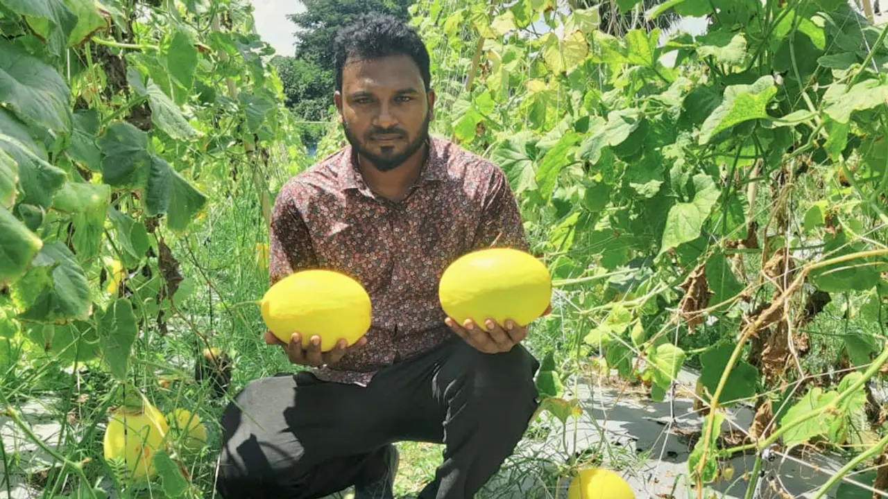 চাকরি ছেড়ে কৃষিকাজ, তরুণ উদ্যোক্তা ফয়সালের বছরে আয় ১৩ লাখ