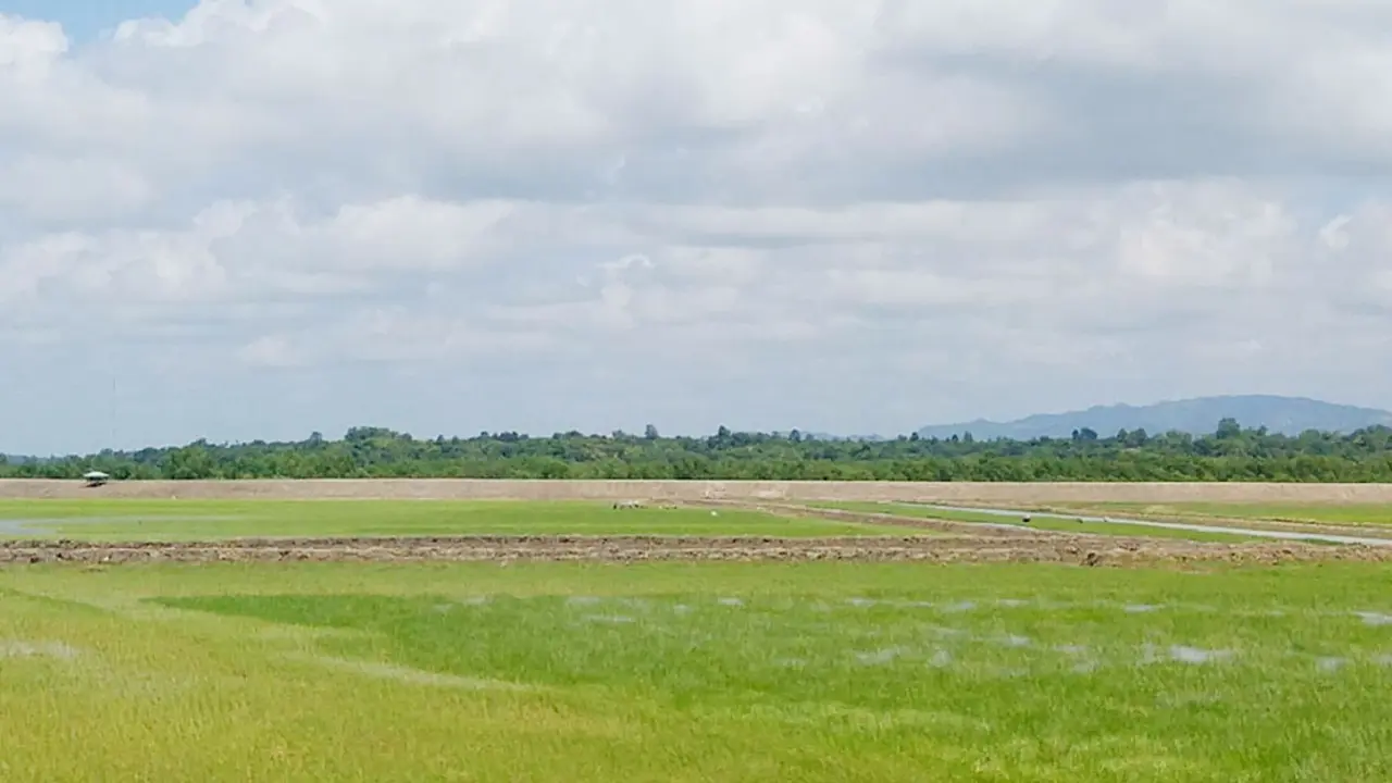 টেকনাফ সীমান্তে থেমে থেমে গুলির শব্দ