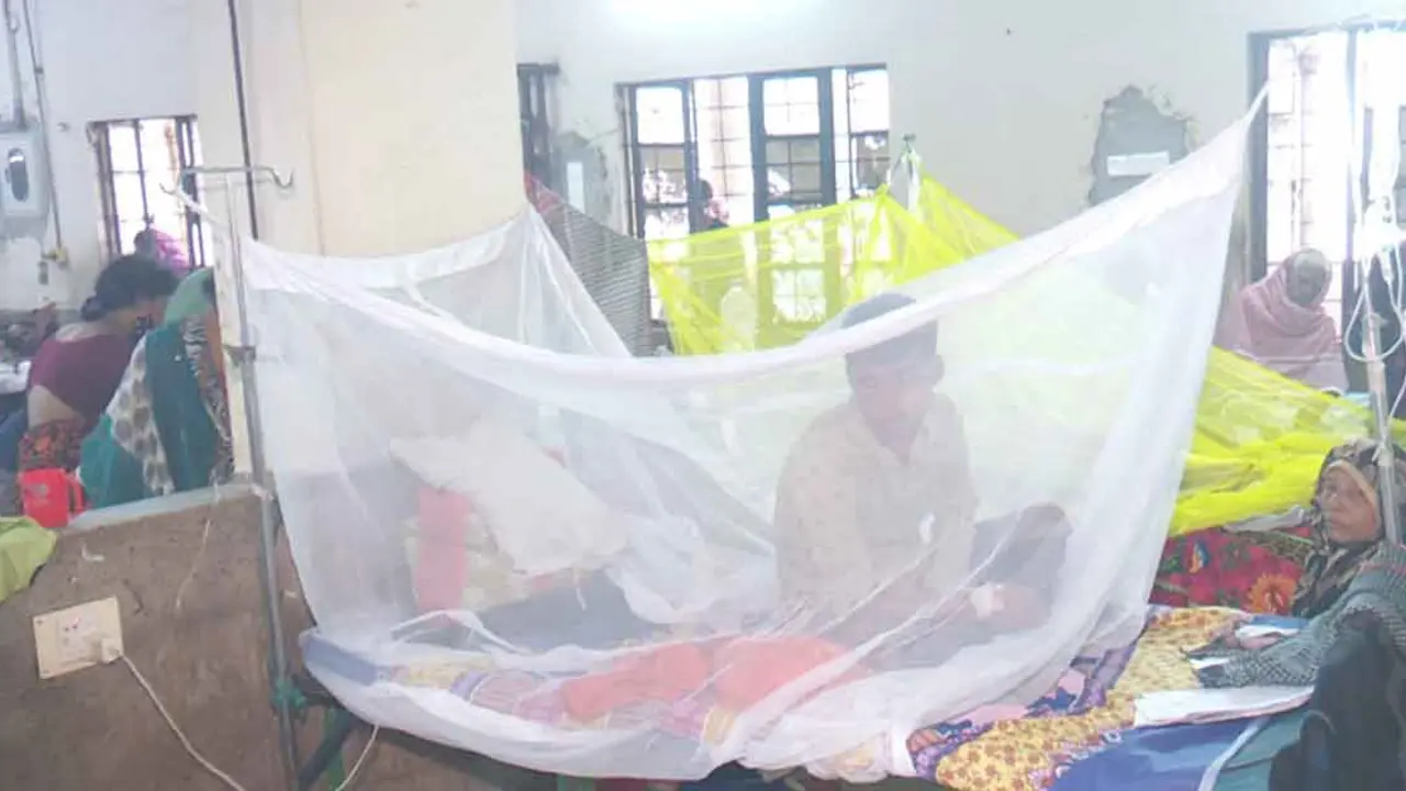 ডেঙ্গুতে চট্টগ্রামে একজনের মৃত্যু, আক্রান্ত ১৯