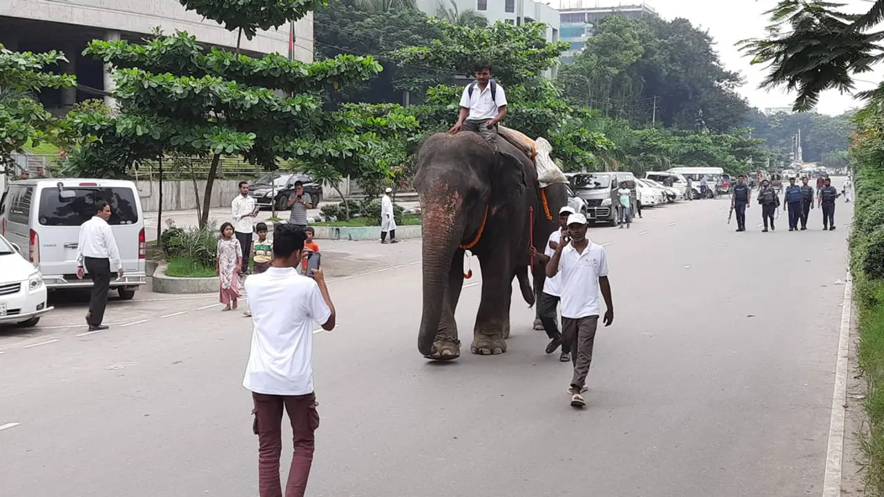 হাতি-ঘোড়া নিয়ে পর্যটন দিবসের র্যালি