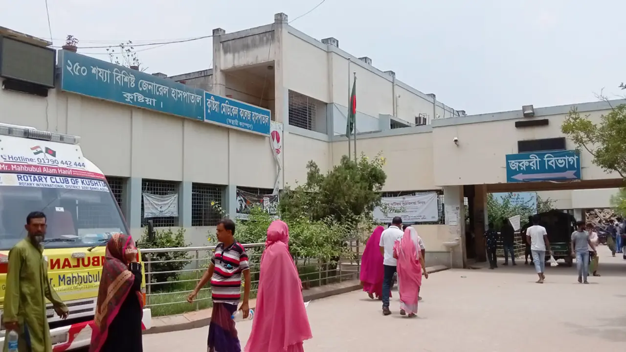 সাপের কামড়ে শাশুড়ি-পুত্রবধূর মৃত্যু