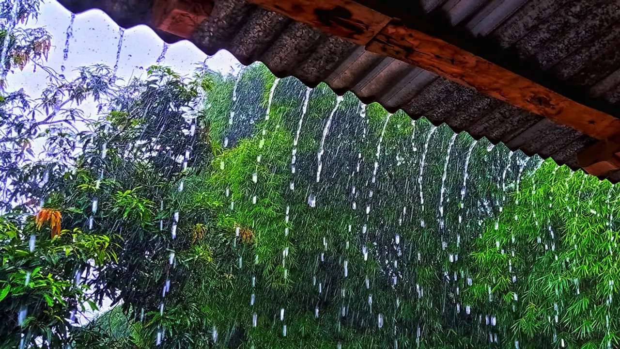 ১২ জেলায় তাপপ্রবাহ, অব্যাহত থাকবে বৃষ্টিপাত
