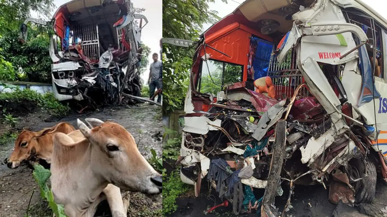 দুর্ঘটনাকবলিত বাসের লকারে মিলল ৪ গরু