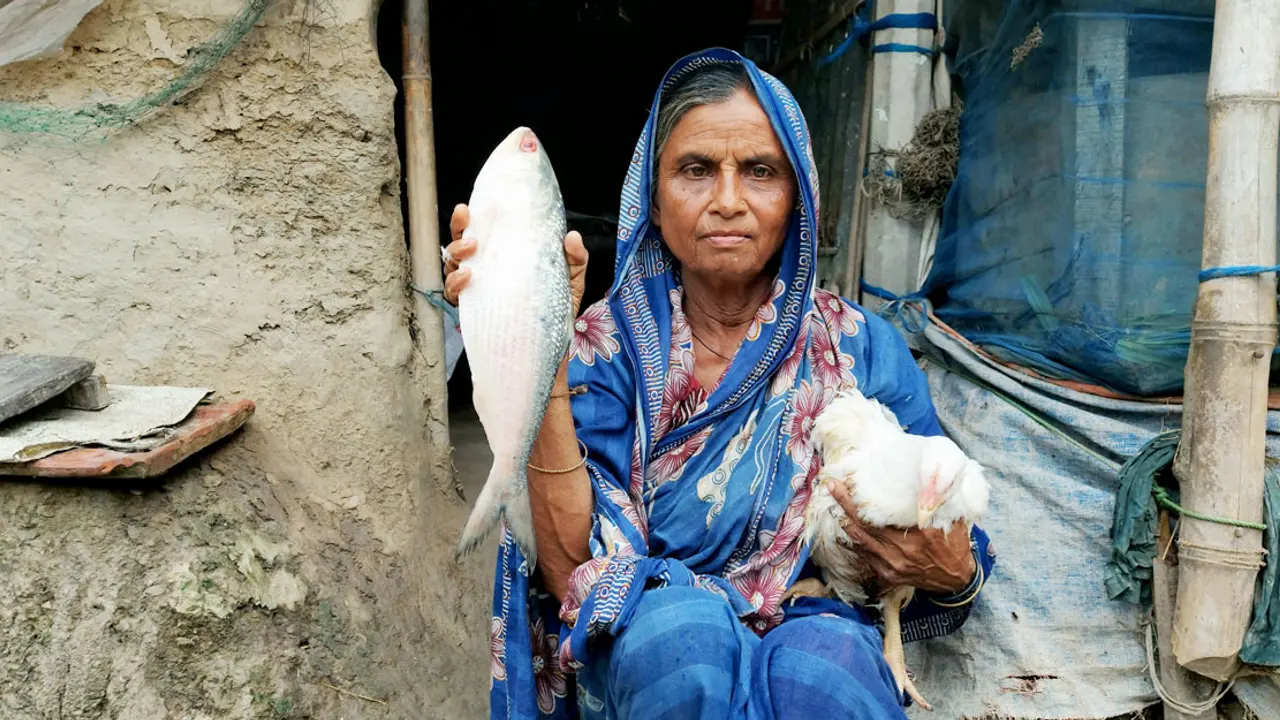 ইলিশ পেয়ে আপ্লুত অসহায় সুফিয়া