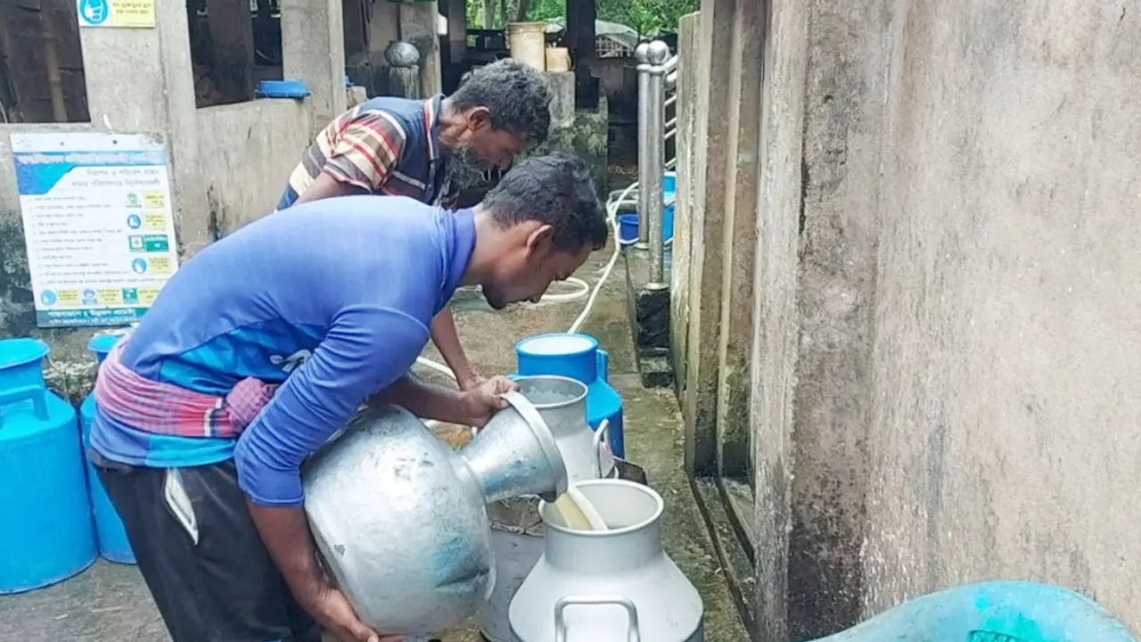 ৪০ কেজি দুধের ৩০ কেজিই ভেজাল