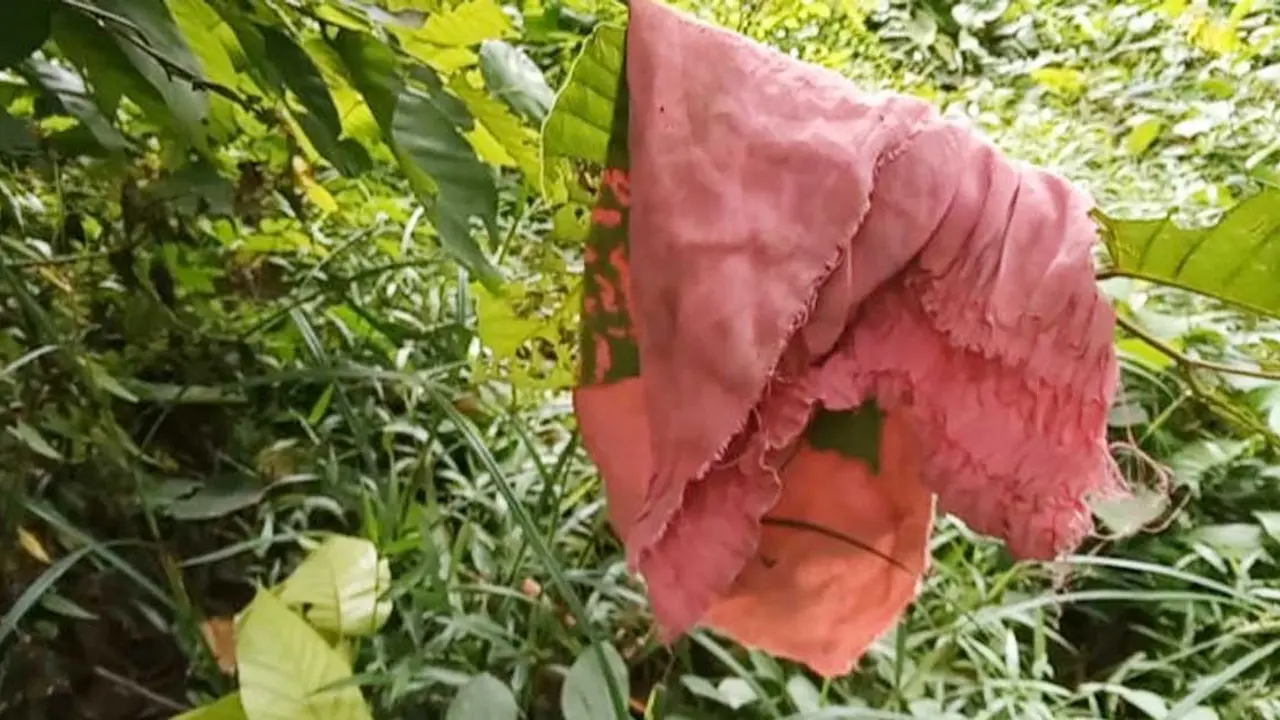 আশুলিয়ায় ভয়ংকর সড়ক, সন্ধ্যা হলেই অনিরাপদ জনপদ